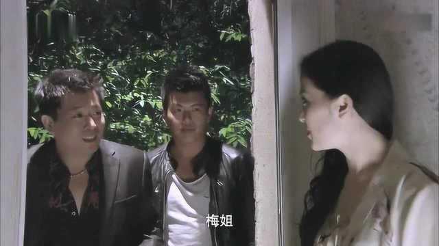 黑社会美眉背景,风云际会的江湖传奇