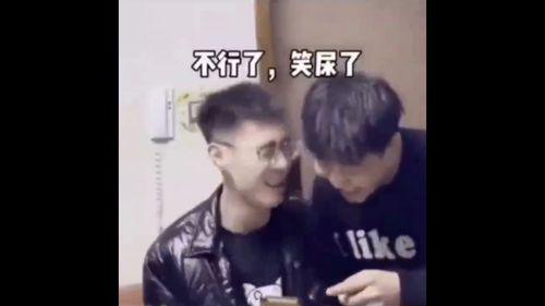 搞笑奇趣视频,让你笑到肚子疼