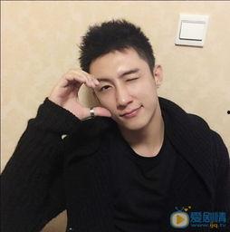 黄景个人资料,才华横溢的影视新星，多面魅力展现人生精彩