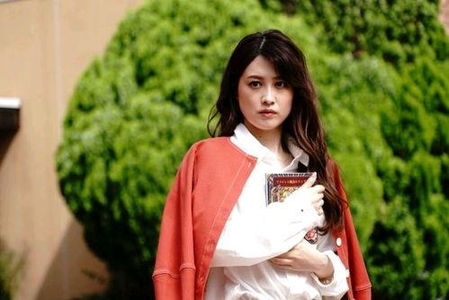 伦太郎演员,光影交织的演艺人生